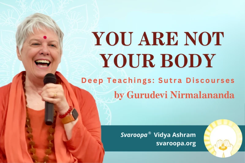 You Are Not Your Body